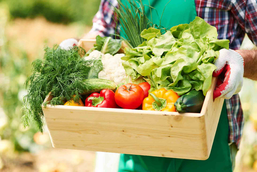 Sürdürülebilir Gıda Üretim Anlayışının Önemi